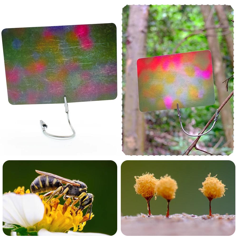 Macro Photography Background C - Photography Lighting Material recension och pris