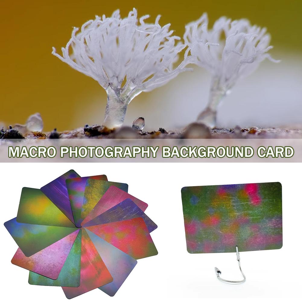 Macro Photography Background C - Photography Lighting Material recension och pris