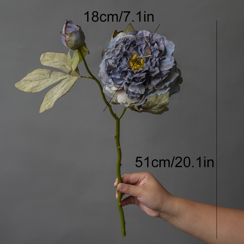1PC Light Luxury 2 Head Big Pe - Photography Lighting Simulation recension och pris