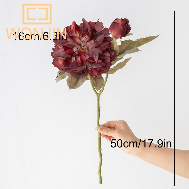1PC Light Luxury 2 Head Big Pe - Photography Lighting Simulation recension och pris